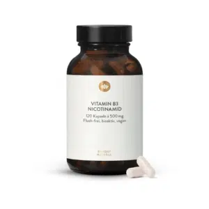 Vitamine B3 (Nicotinamide) 500 mg – Énergie cellulaire & système nerveux – 120 gélules