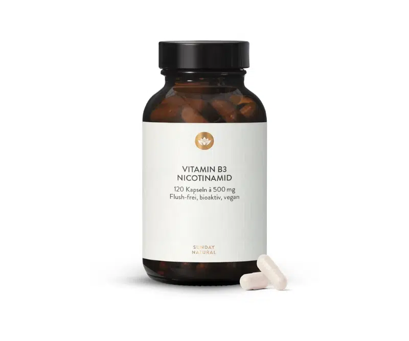 Vitamine B3 (Nicotinamide) 500 mg – Énergie cellulaire & système nerveux – 120 gélules